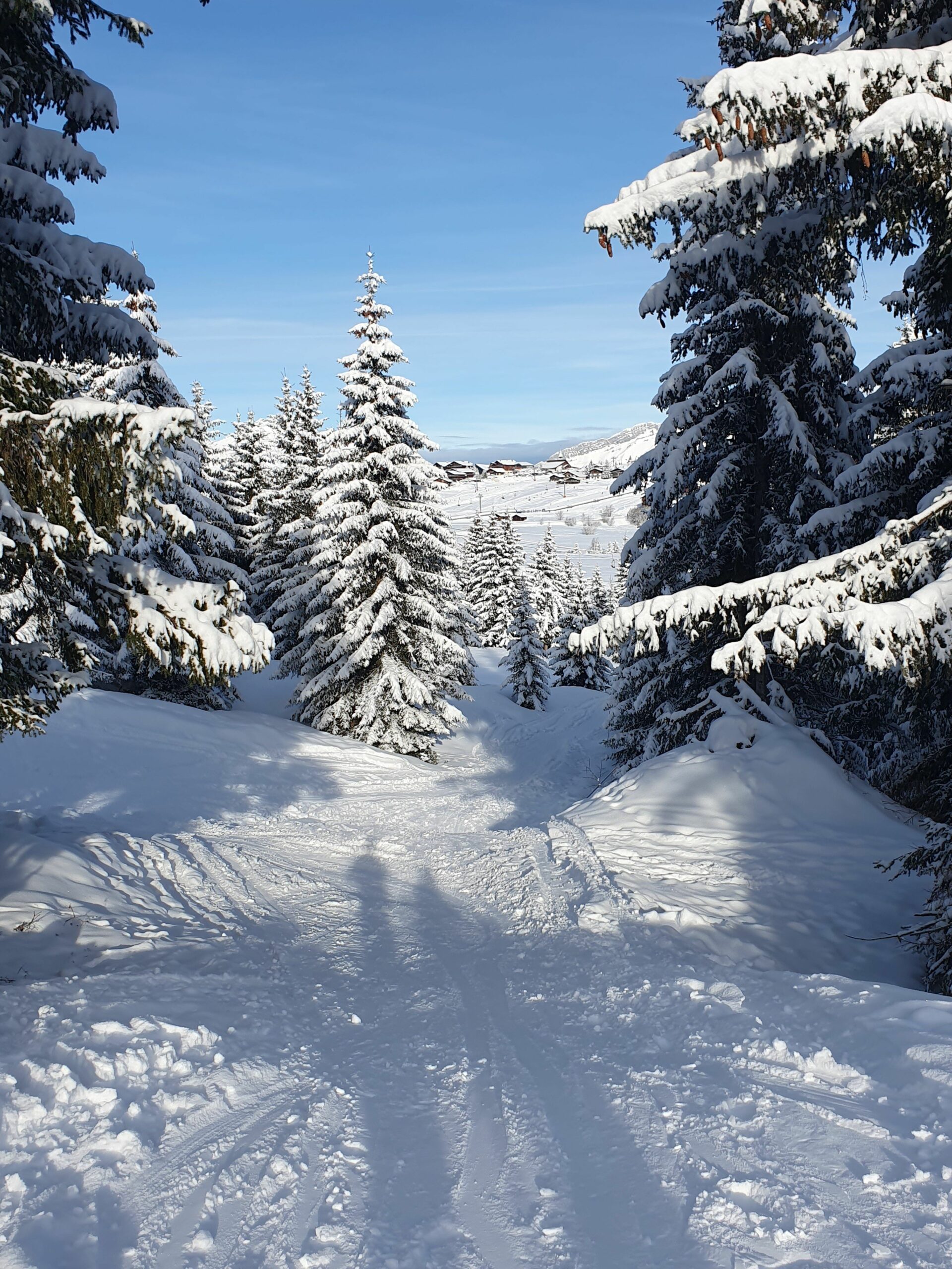 Accès aux pistes